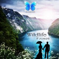 Fjords專輯_WildlifeFjords最新專輯