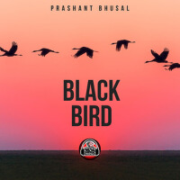 Black Bird專輯_Prashant BhusalBlack Bird最新專輯