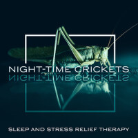 Night-time Crickets: Sleep and Stress Relief Thera