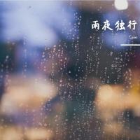 雨夜獨行