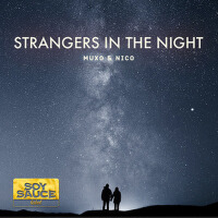 Stranger In The Night