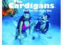 The Cardigans歌曲歌詞大全_The Cardigans最新歌曲歌詞