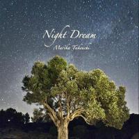 Night Dream專輯_竹內まりかNight Dream最新專輯