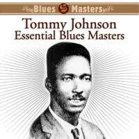 Essential Blues Masters