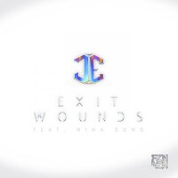 Exit Wounds