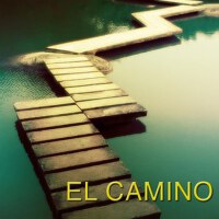 El Camino專輯_Vinicius CantuariaEl Camino最新專輯