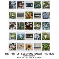 The Art of Sweeping Under the Rug