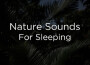 Organic Nature Sounds歌曲歌詞大全_Organic Nature Sounds最新歌曲歌詞