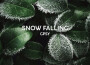 Snow Falling專輯_gpsySnow Falling最新專輯