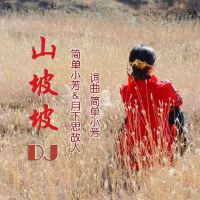 山坡坡DJ