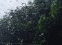 你那裡下雨了嗎專輯_15你那裡下雨了嗎最新專輯