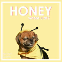 Honey (Where U At?)專輯_NVTHVNHoney (Where U At?)最新專輯