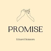 Promise