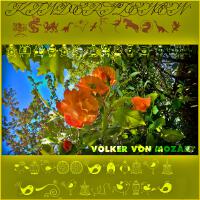 Volker von Mozart歌曲歌詞大全_Volker von Mozart最新歌曲歌詞