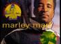 Marley Marl