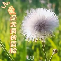 ASU_na最新專輯_新專輯大全_專輯列表