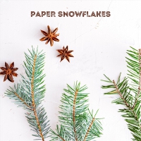 Paper Snowflakes