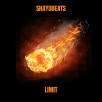 SHAYDBEATS歌曲歌詞大全_SHAYDBEATS最新歌曲歌詞