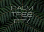 Palm Tree City專輯_Sleep Sounds of NatuPalm Tree City最新專輯