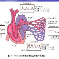 GANZ個人資料介紹_個人檔案(生日/星座/歌曲/專輯/MV作品)