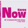 韓國瘋之眉飛色舞[Korea Now]