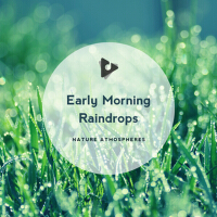 Early Morning Raindrops專輯_The Rain LibraryEarly Morning Raindrops最新專輯