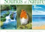 Sounds of Nature專輯_Arnd SteinSounds of Nature最新專輯