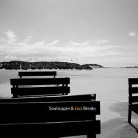 Soulscapes & Jazz Breaks專輯_Pat D & Lady ParadoxSoulscapes & Jazz Breaks最新專輯