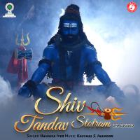 Shiv Tandav Stotram (Unplugged) - Single