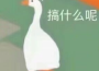 鵝鵝好餓ovo歌曲歌詞大全_鵝鵝好餓ovo最新歌曲歌詞