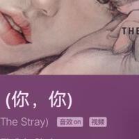 The Stray