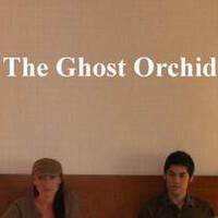 The Ghost Orchid歌曲歌詞大全_The Ghost Orchid最新歌曲歌詞