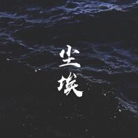 星星一直都在--塵埃