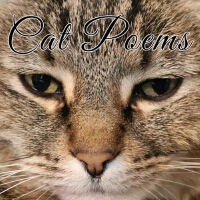 Cat Poems專輯_Daniel K. MurphyCat Poems最新專輯