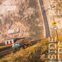 Roadside Flowers專輯_DroeloeRoadside Flowers最新專輯