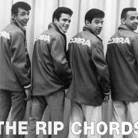 The Rip Chords圖片照片