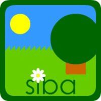 Siba​.Pro歌曲歌詞大全_Siba​.Pro最新歌曲歌詞