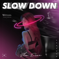 Slow Down (Feat.bzp)專輯_雯雯唄WenasaSlow Down (Feat.bzp)最新專輯