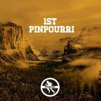 Pinmusik 1st Labelsampler