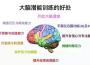 ADHD 集中音樂: 幫助多動症患者提高注意力而集中於學習的背景音樂專輯_大腦開發ADHD 集中音樂: 幫助多動症患者提高注意力而集中於學習的背景音樂最新專輯