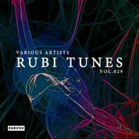 Rubi Tunes, Vol. 029