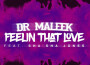 Feelin' That Love (feat. Sha Sha Jones)專輯_Dr MaleekFeelin' That Love (feat. Sha Sha Jones)最新專輯