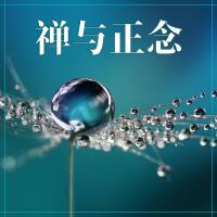 坐禪歌曲歌詞大全_坐禪最新歌曲歌詞