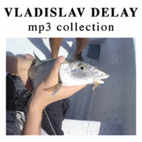 MP3 Collection專輯_Vladislav DelayMP3 Collection最新專輯