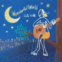 WONDERFUL WORLD