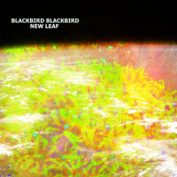 New Leaf專輯_Blackbird BlackbirdNew Leaf最新專輯