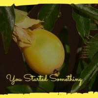 You Started Something