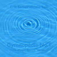 gymnopédie no 1 (the magic room version)專輯_Fabrizio Selligymnopédie no 1 (the magic room version)最新專輯