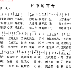 谷中百合圖片照片_谷中百合