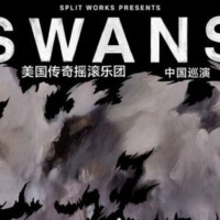 Swans圖片照片_Swans